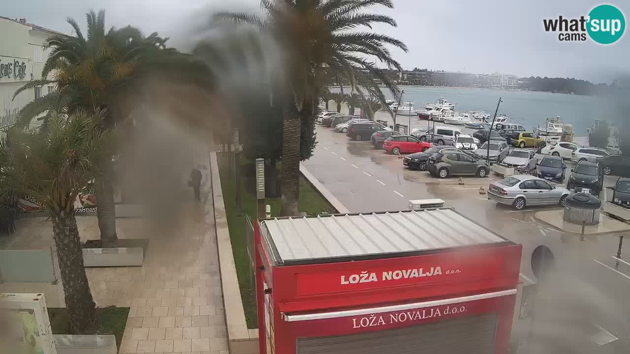 Spletna kamera Novalja – Obala Petra Krešimira IV