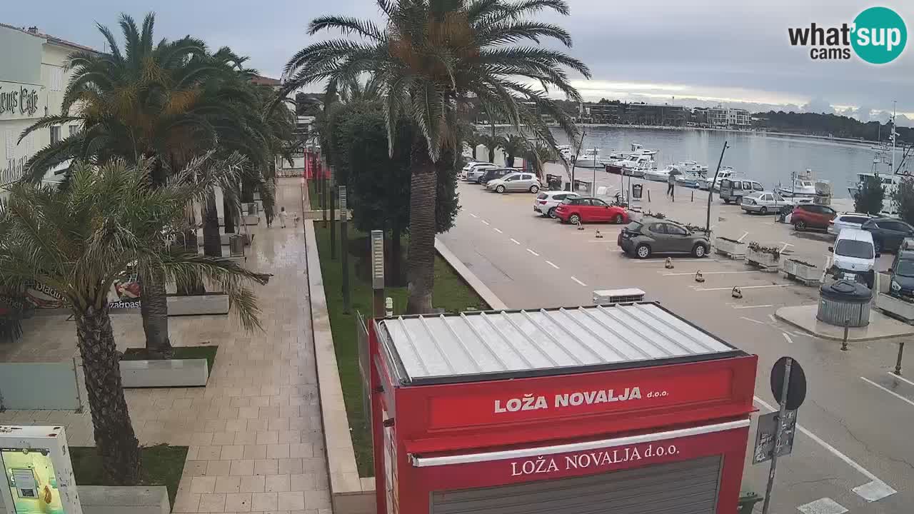 Camera en diecto Novalja – Obala Petra Krešimira IV