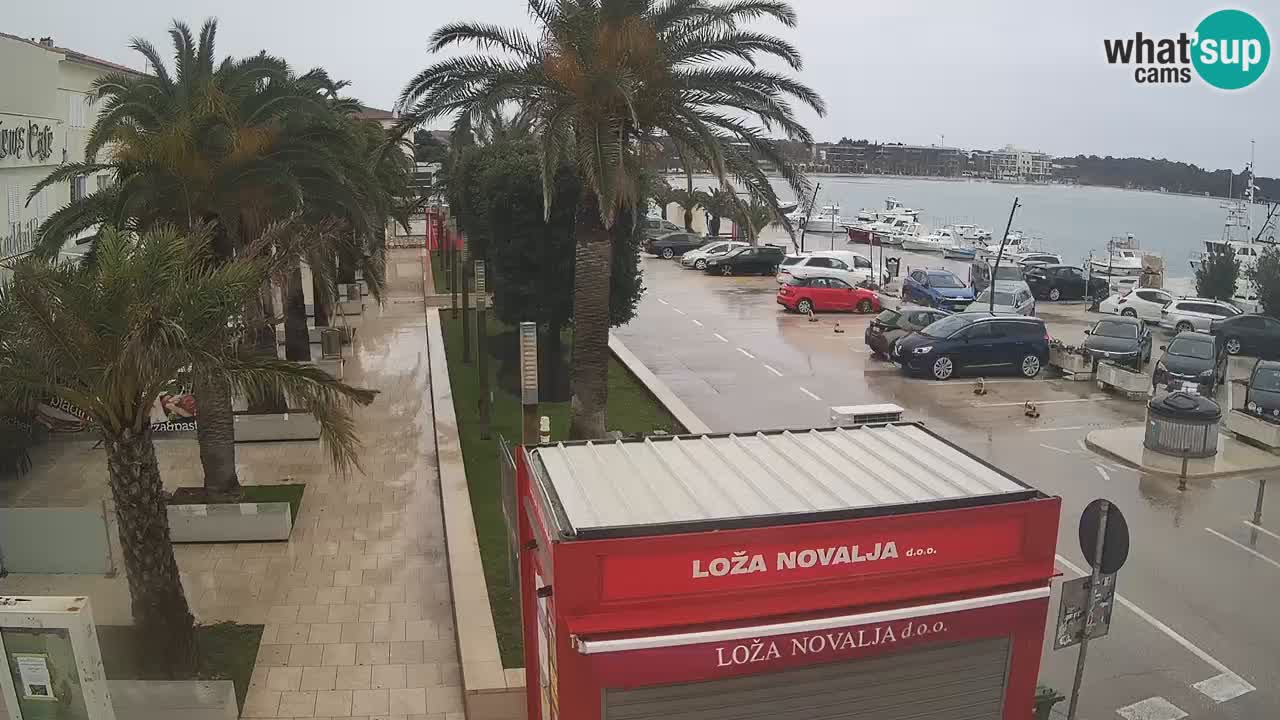 Live cam Novalja – Obala Petra Krešimira IV