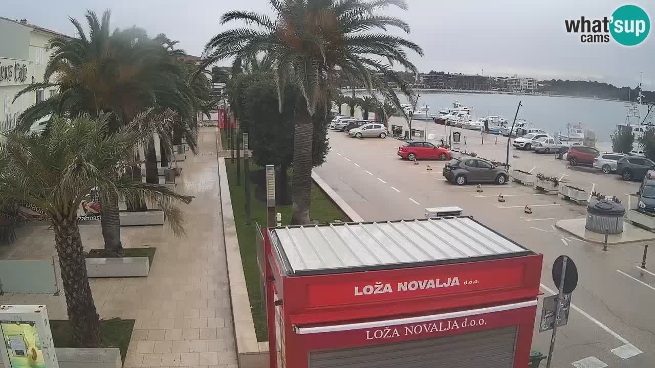 Live cam Novalja – Obala Petra Krešimira IV
