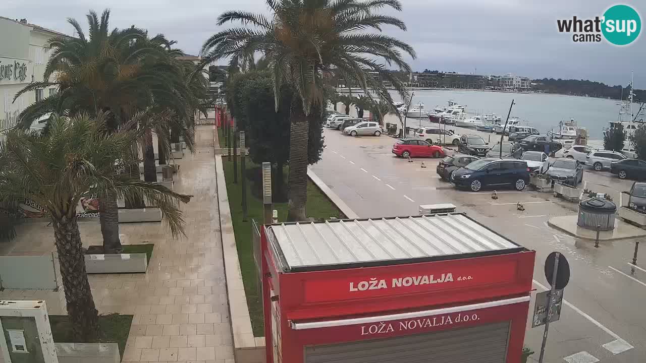 Spletna kamera Novalja – Obala Petra Krešimira IV