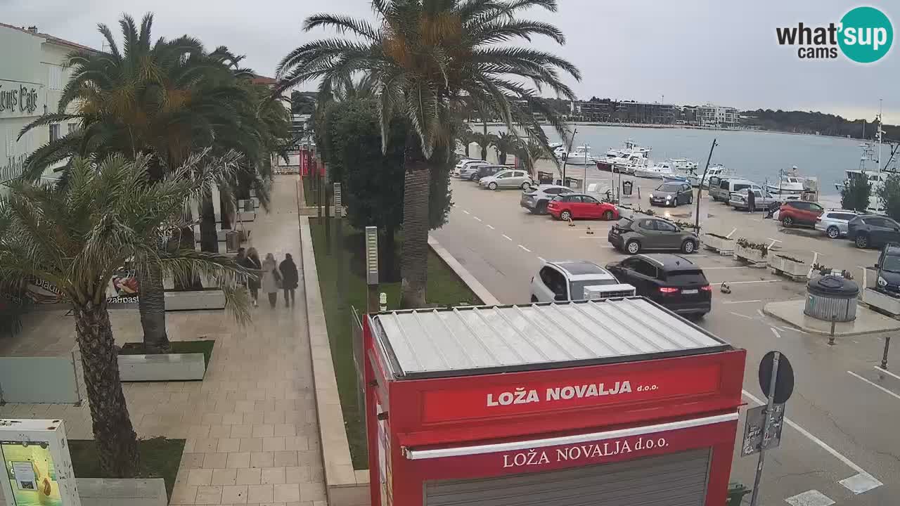 Camera en diecto Novalja – Obala Petra Krešimira IV