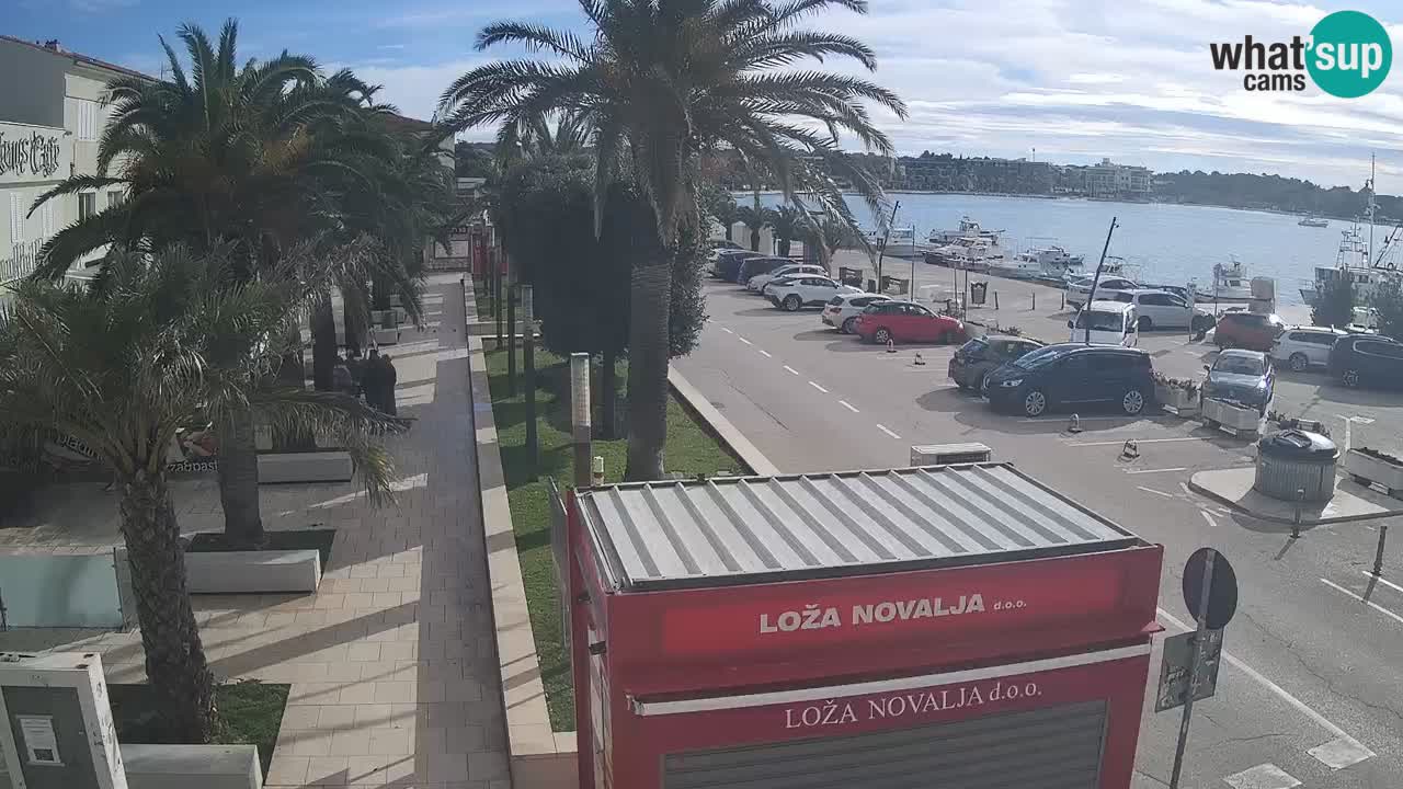 Spletna kamera Novalja – Obala Petra Krešimira IV