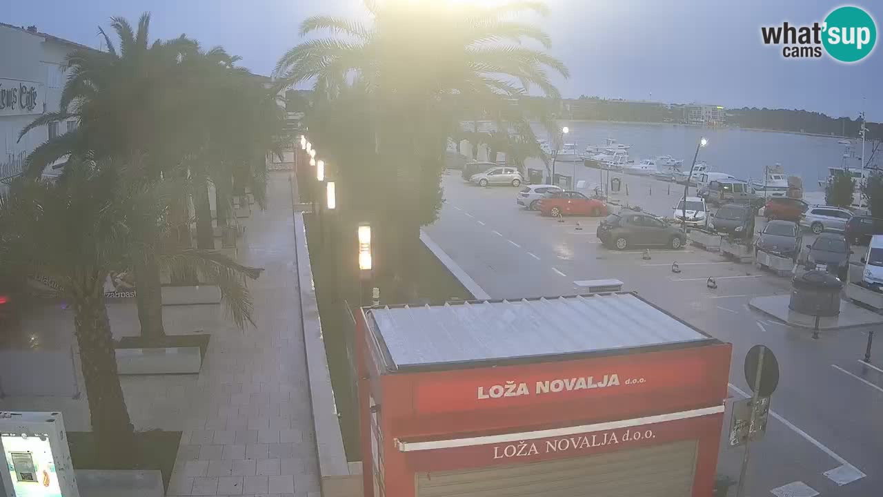 Camera en diecto Novalja – Obala Petra Krešimira IV