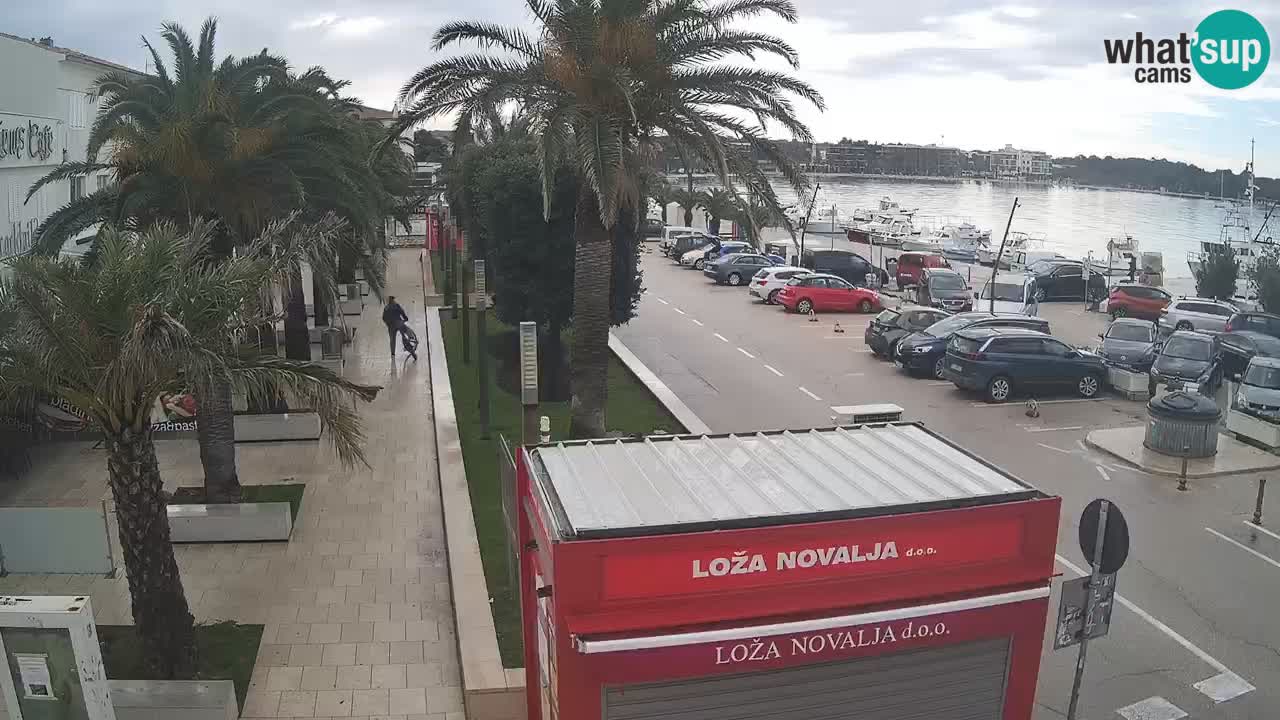 Camera en diecto Novalja – Obala Petra Krešimira IV