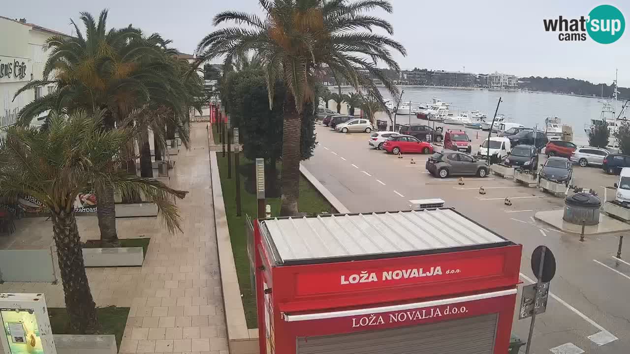 Camera en diecto Novalja – Obala Petra Krešimira IV