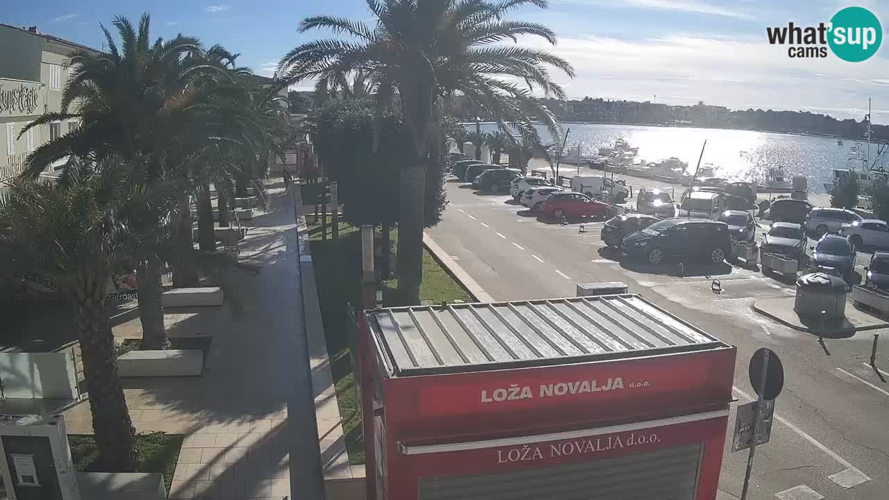 Spletna kamera Novalja – Obala Petra Krešimira IV