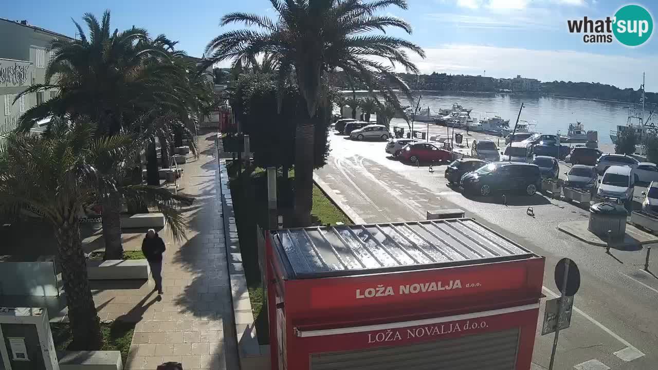 Live cam Novalja – Obala Petra Krešimira IV