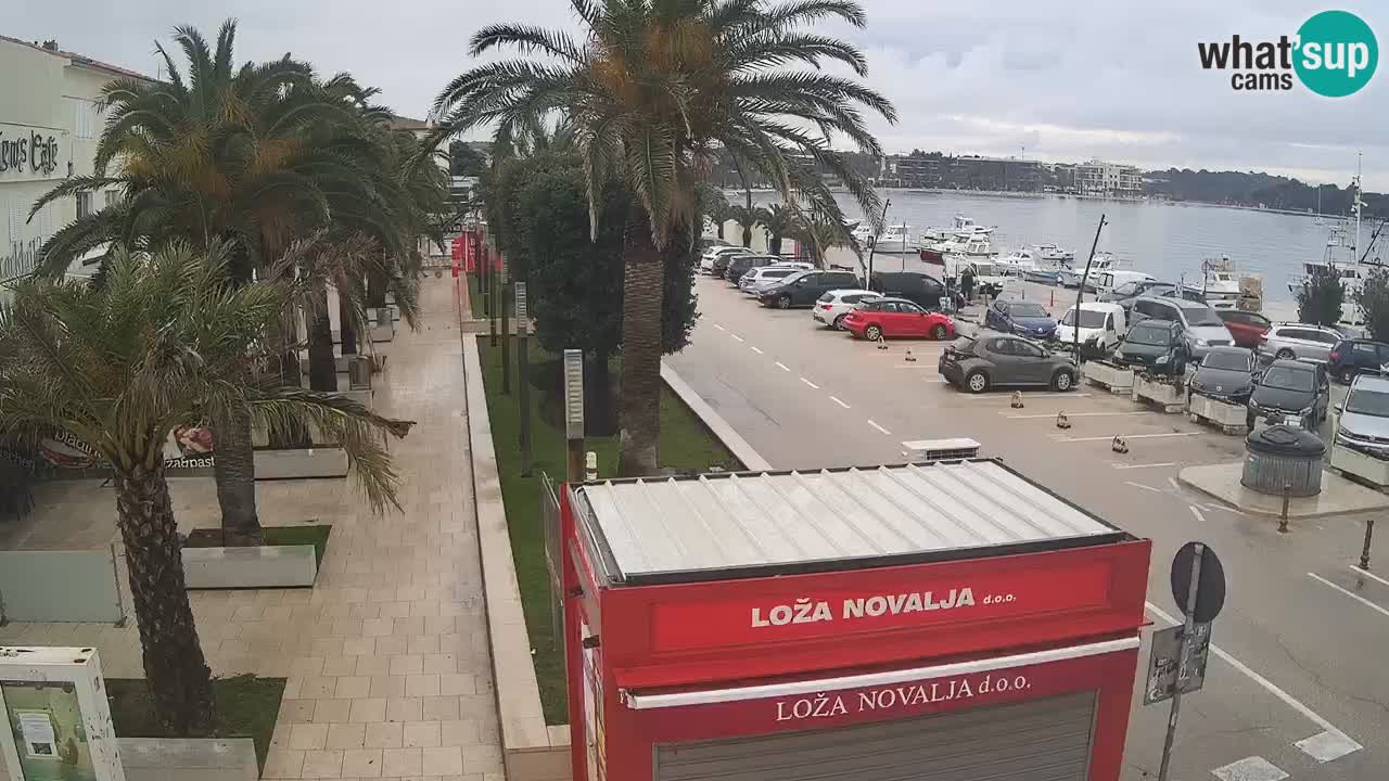 Camera en diecto Novalja – Obala Petra Krešimira IV