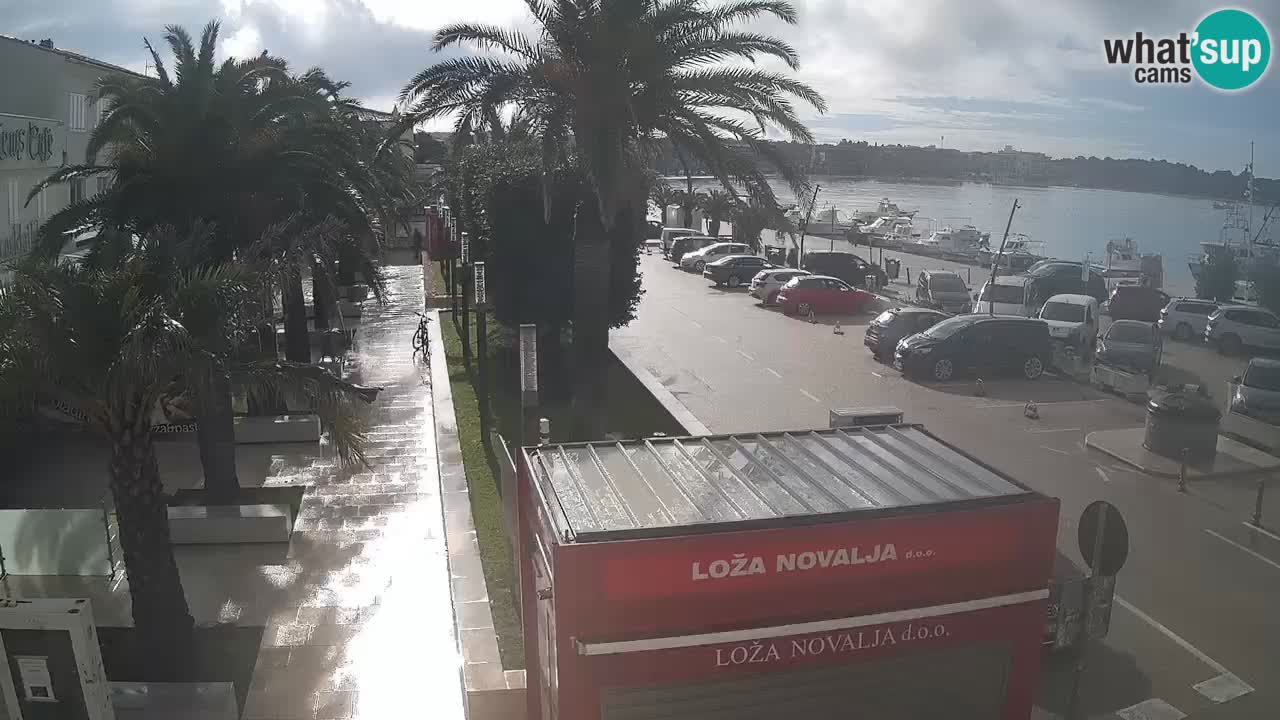 Live cam Novalja – Obala Petra Krešimira IV