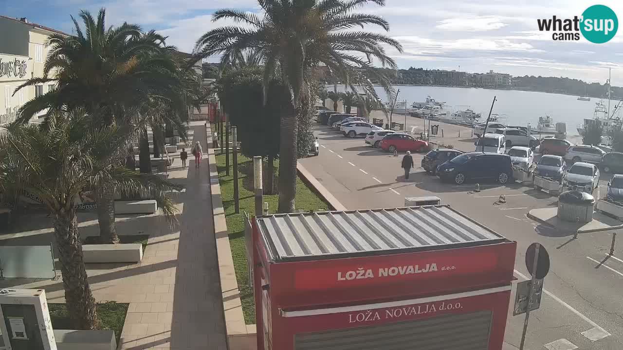 Webcam Novalja – Obala Petra Krešimira IV