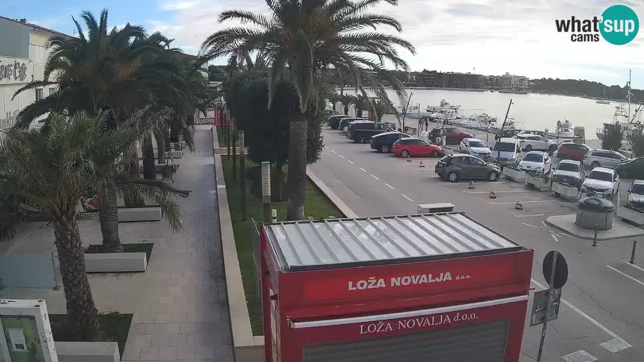 Camera en diecto Novalja – Obala Petra Krešimira IV