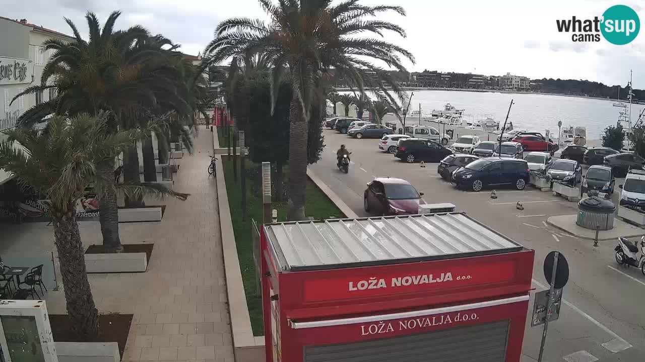 Web kamera Novalja – Obala Petra Krešimira IV