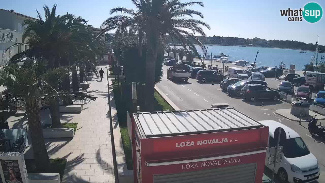 Web kamera Novalja – Obala Petra Krešimira IV