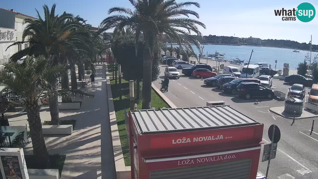 Camera en diecto Novalja – Obala Petra Krešimira IV