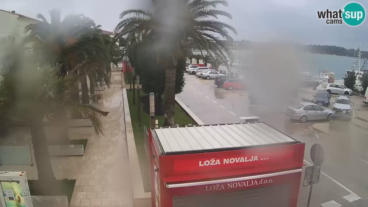 Live cam Novalja – Obala Petra Krešimira IV