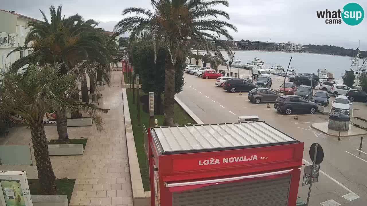 Spletna kamera Novalja – Obala Petra Krešimira IV