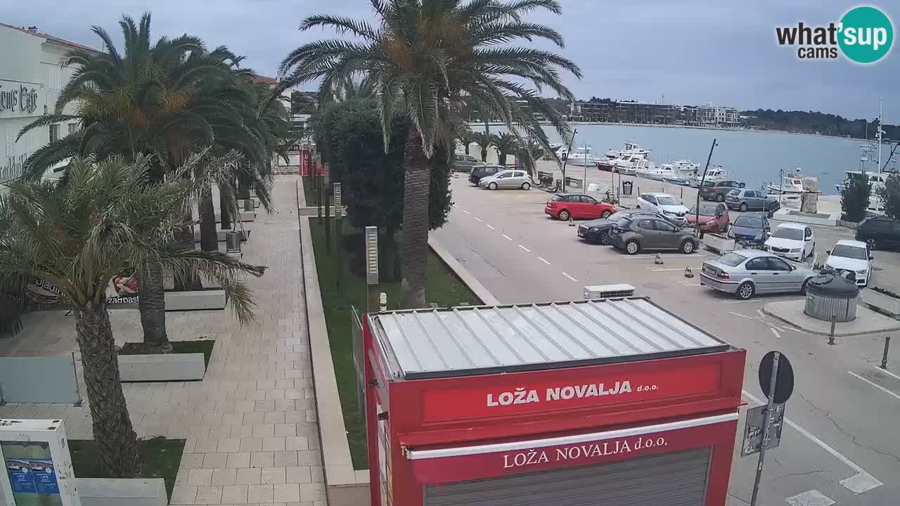 Web kamera Novalja – Obala Petra Krešimira IV