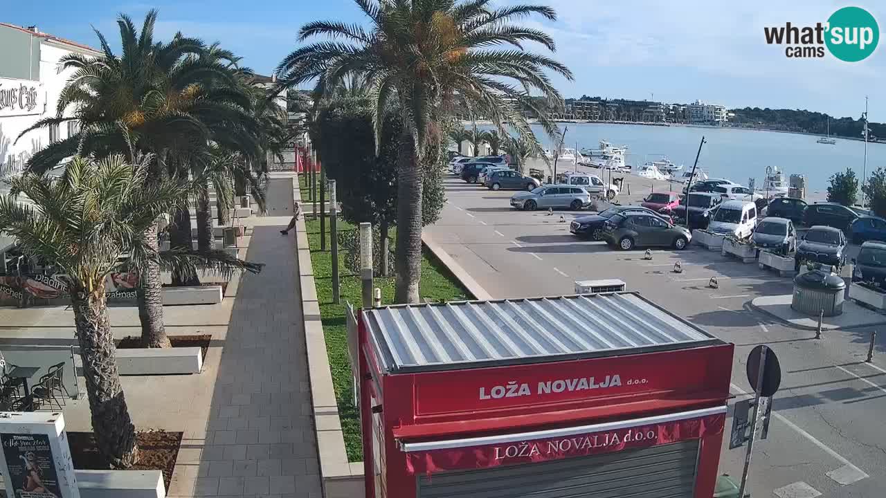 Camera en diecto Novalja – Obala Petra Krešimira IV