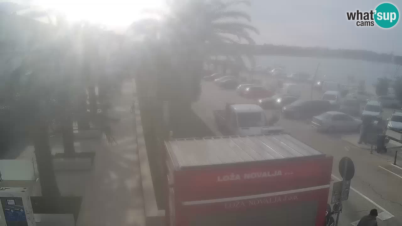 Webcam live Novalja – Obala Petra Krešimira IV