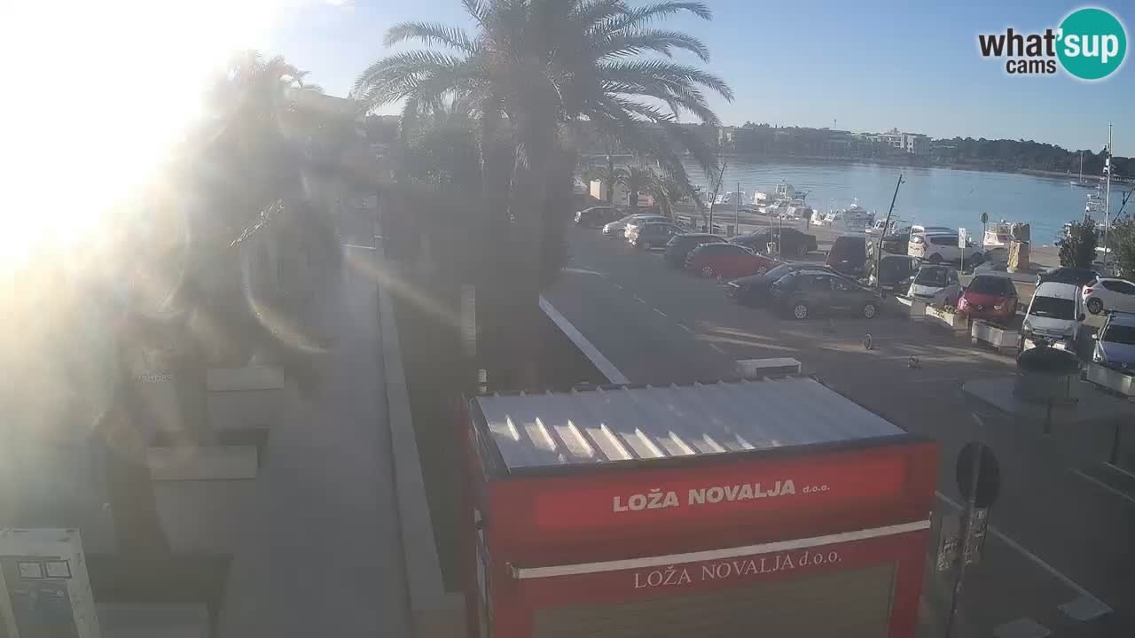 Camera en diecto Novalja – Obala Petra Krešimira IV