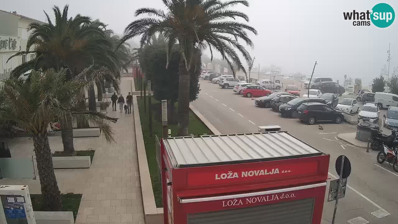 Spletna kamera Novalja – Obala Petra Krešimira IV