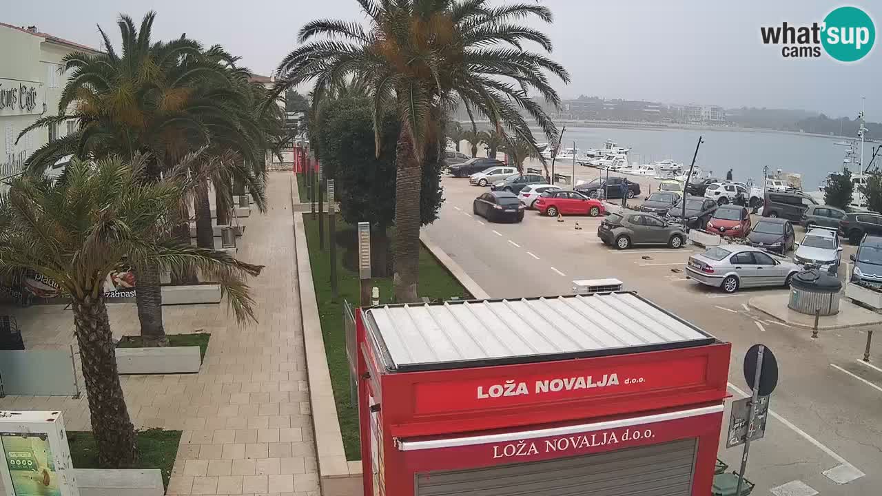 Web kamera Novalja – Obala Petra Krešimira IV