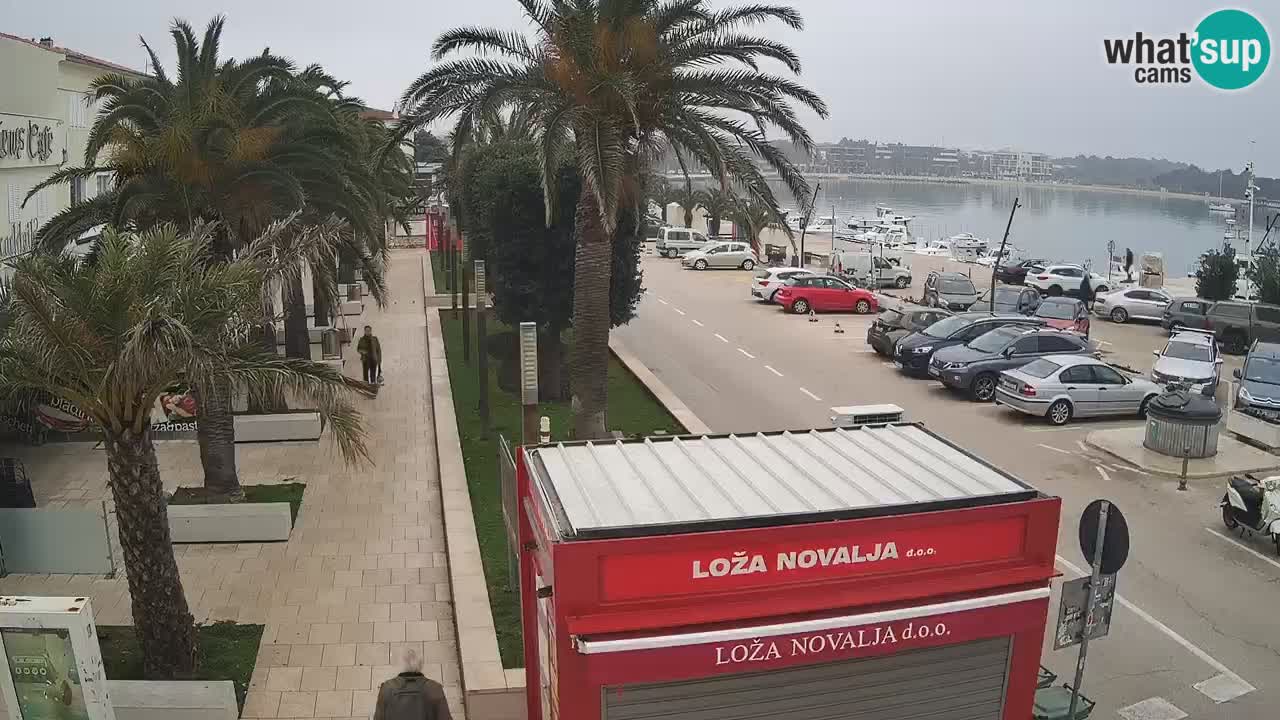 Web kamera Novalja – Obala Petra Krešimira IV