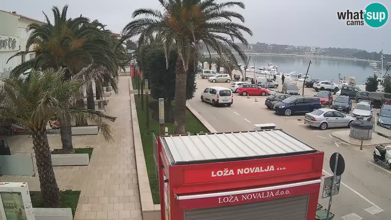 Camera en diecto Novalja – Obala Petra Krešimira IV