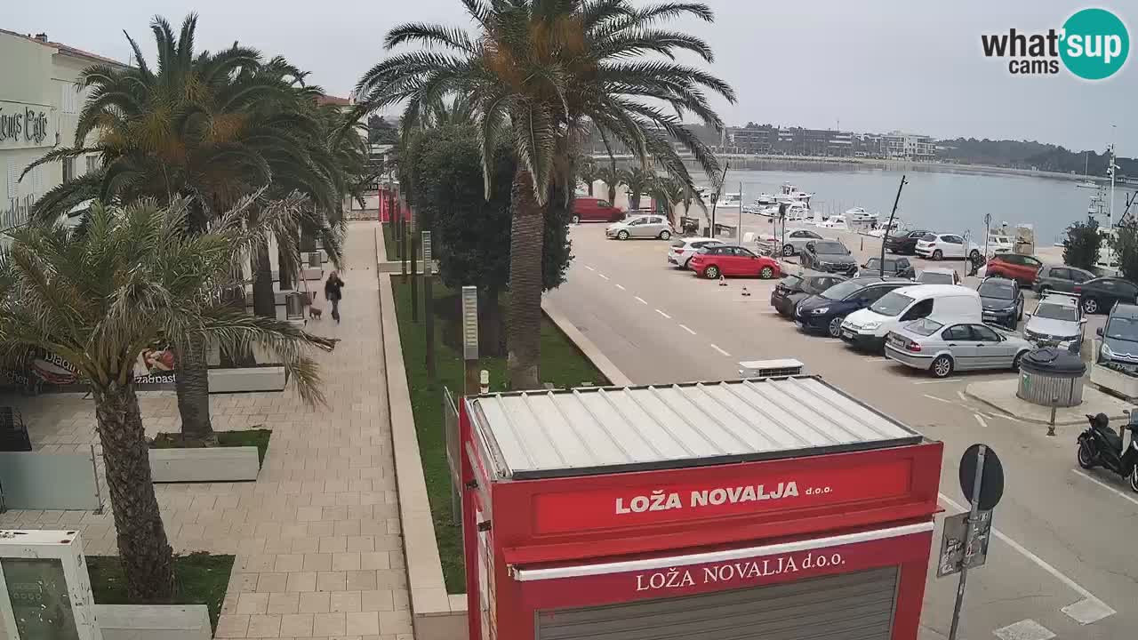 Spletna kamera Novalja – Obala Petra Krešimira IV