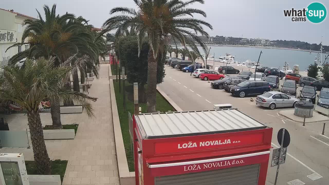 Webcam live Novalja – Obala Petra Krešimira IV