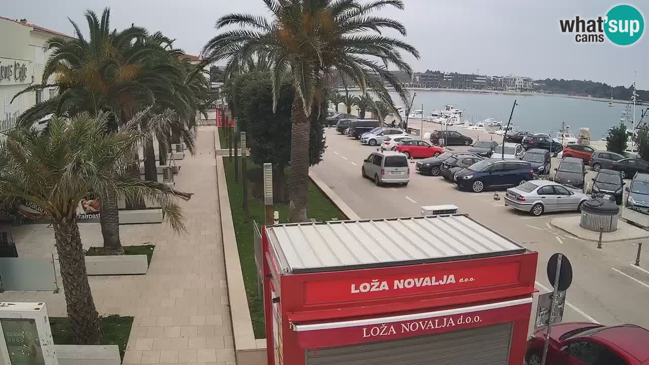 Web kamera Novalja – Obala Petra Krešimira IV