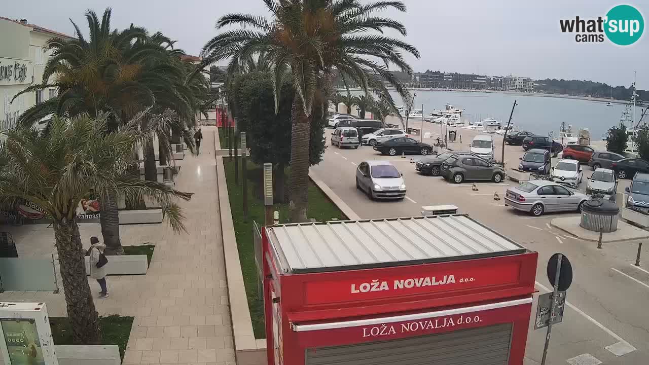 Webcam live Novalja – Obala Petra Krešimira IV