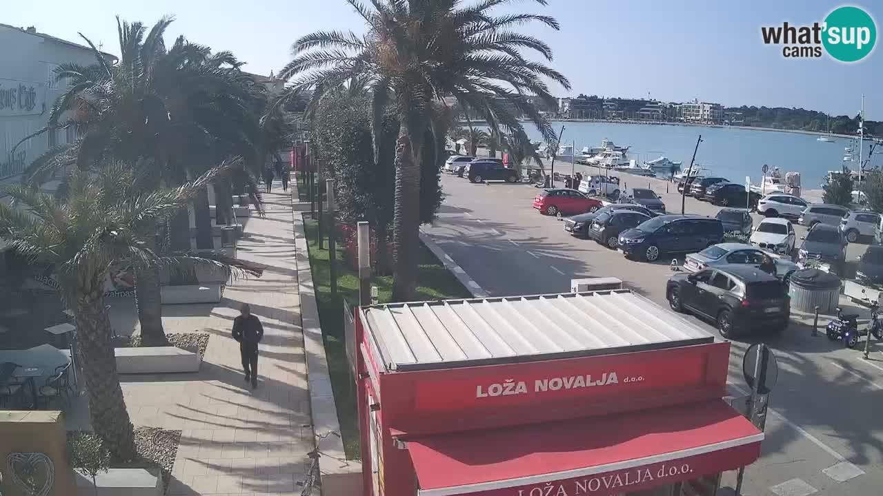 Spletna kamera Novalja – Obala Petra Krešimira IV