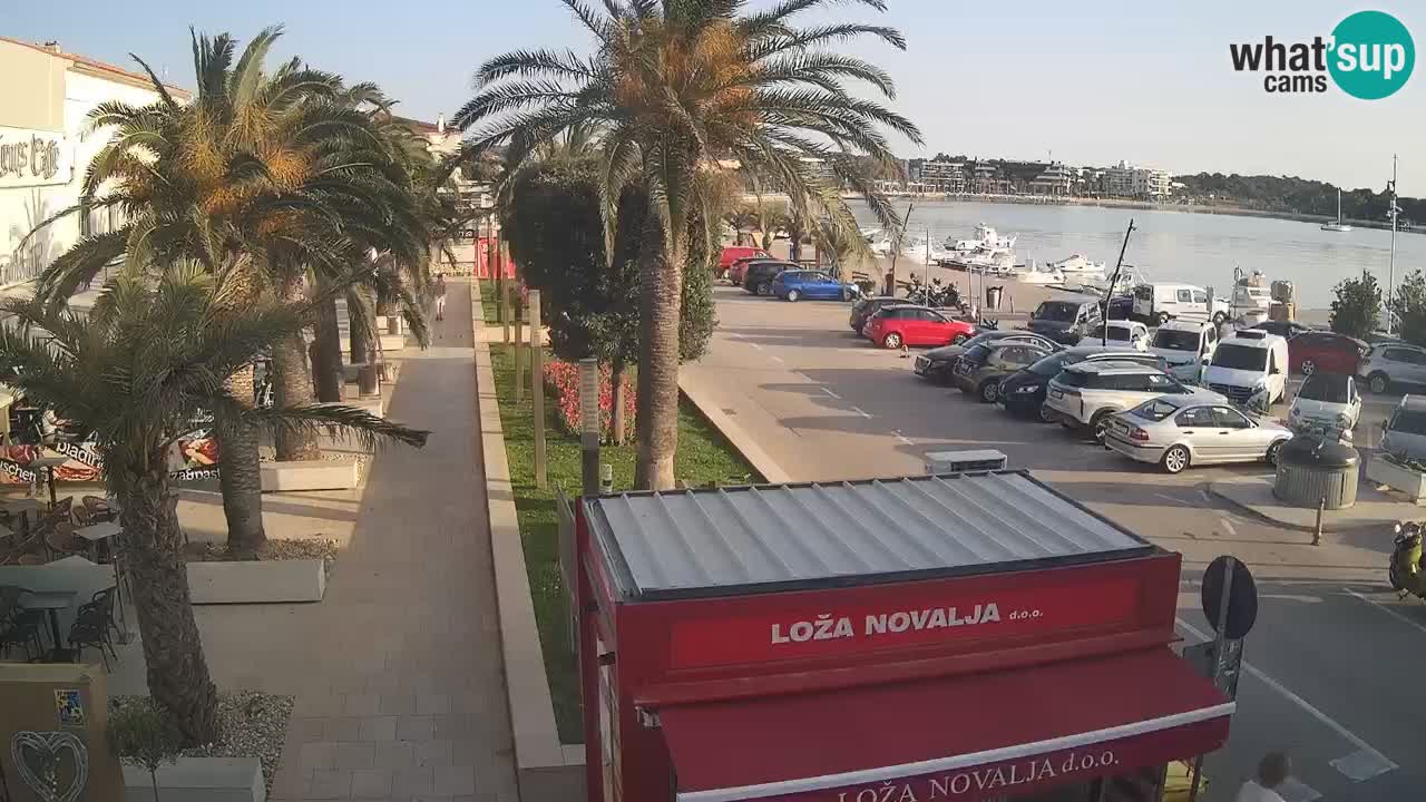 Camera en diecto Novalja – Obala Petra Krešimira IV