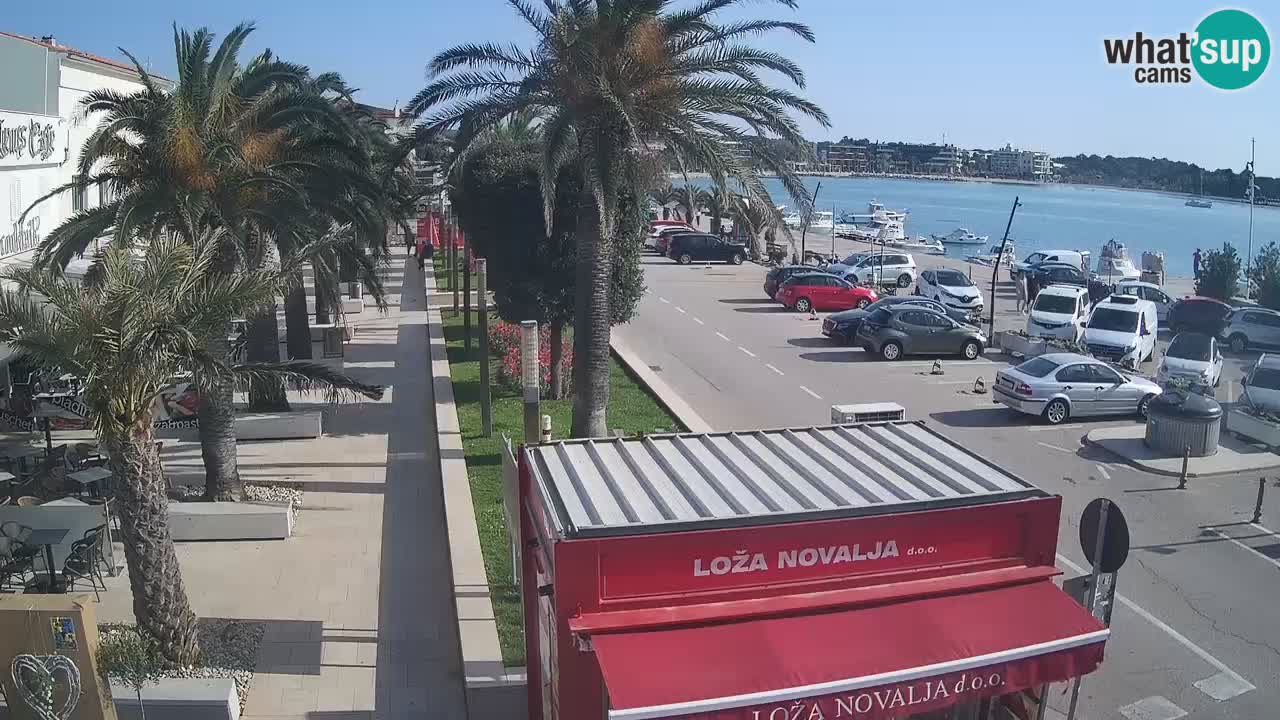 Camera en diecto Novalja – Obala Petra Krešimira IV