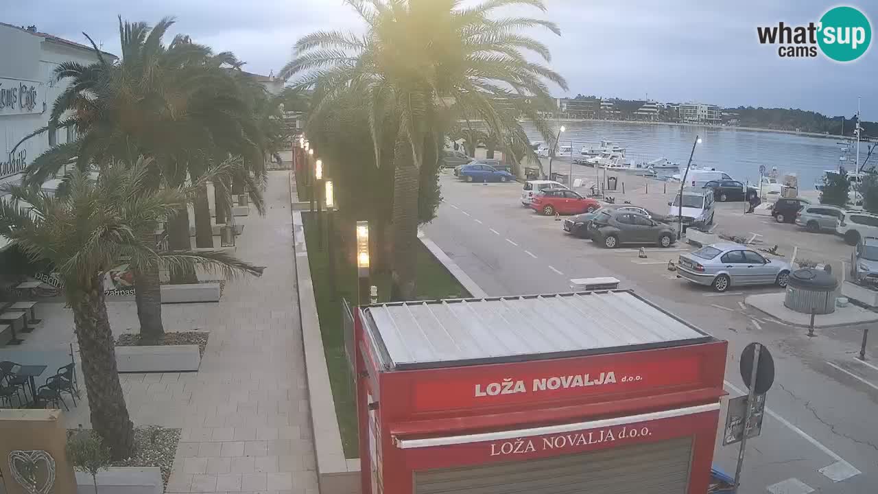 Camera en diecto Novalja – Obala Petra Krešimira IV