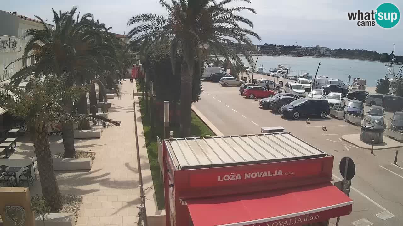 Web kamera Novalja – Obala Petra Krešimira IV