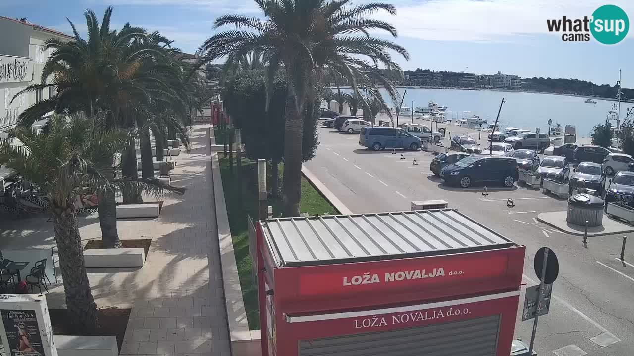 Web kamera Novalja – Obala Petra Krešimira IV