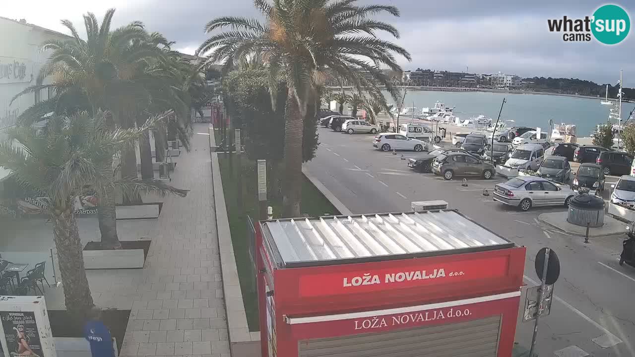 Web kamera Novalja – Obala Petra Krešimira IV