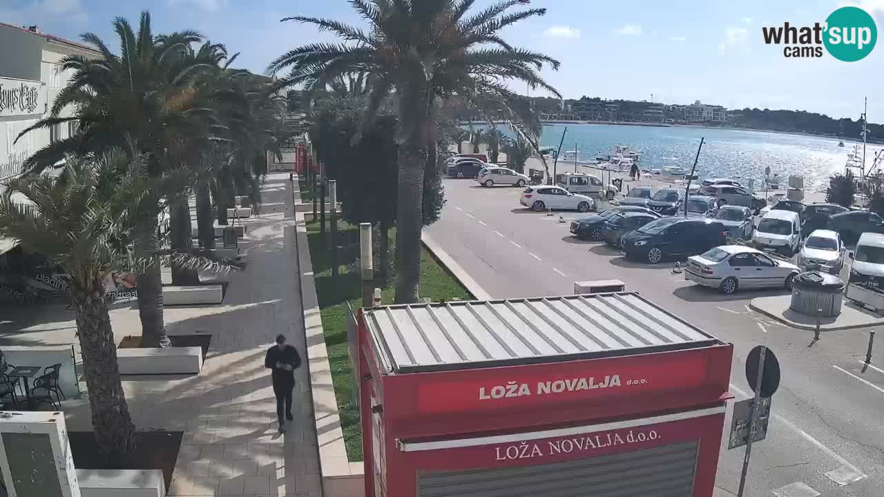 Web kamera Novalja – Obala Petra Krešimira IV