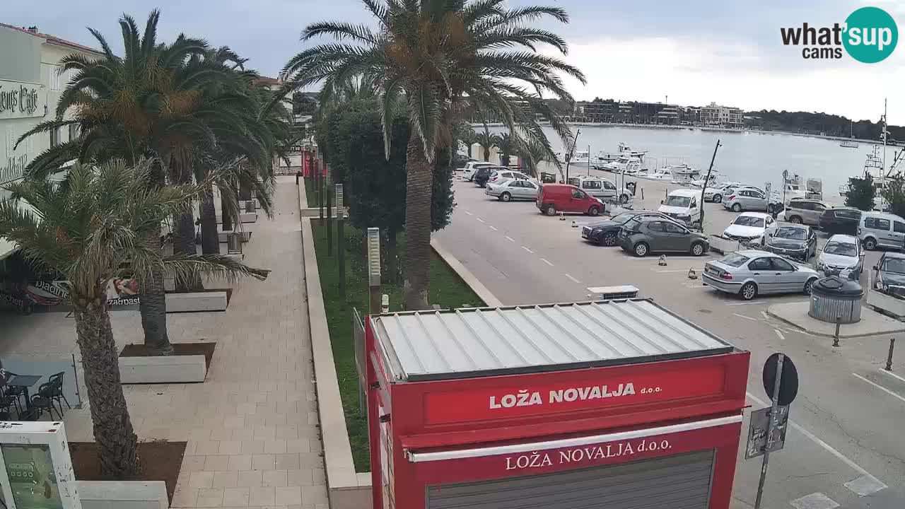 Web kamera Novalja – Obala Petra Krešimira IV