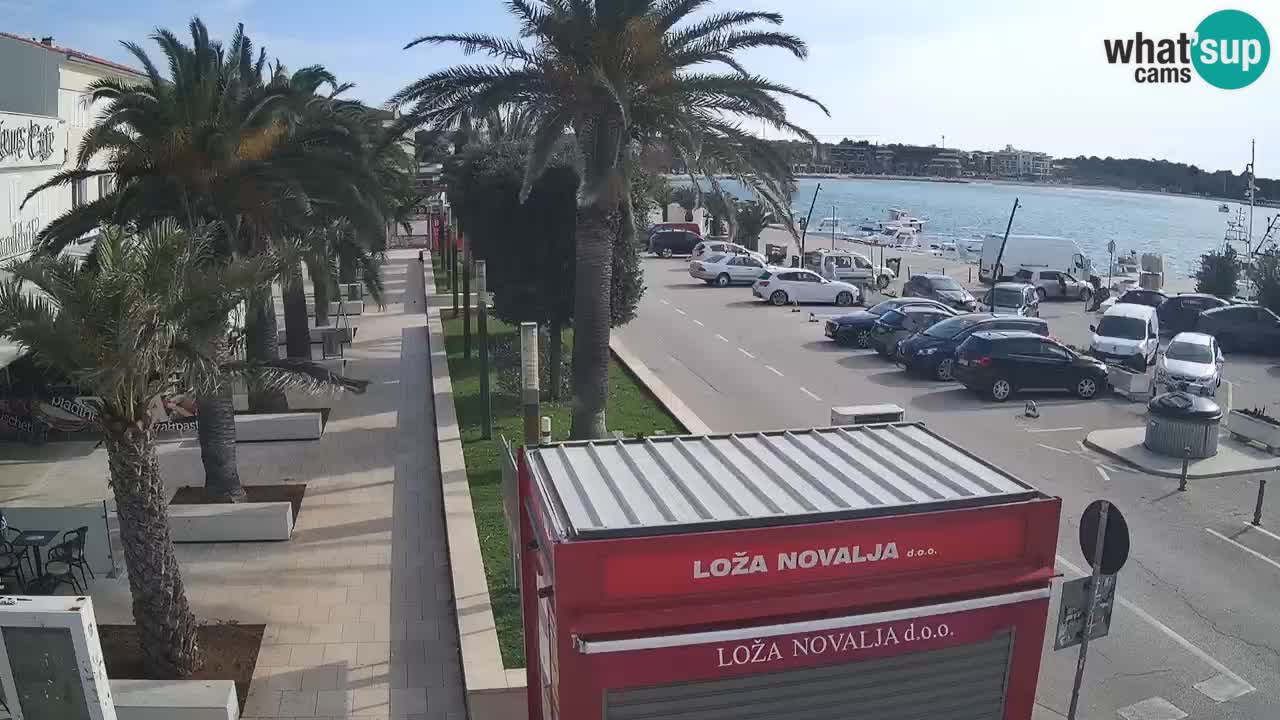 Camera en diecto Novalja – Obala Petra Krešimira IV