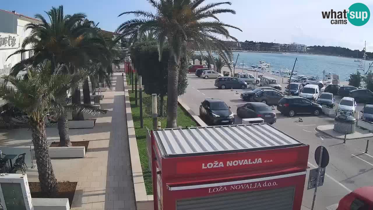 Web kamera Novalja – Obala Petra Krešimira IV