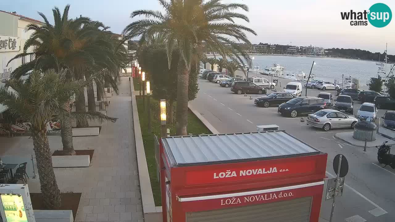 Camera en diecto Novalja – Obala Petra Krešimira IV