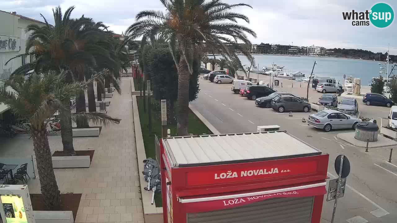 Camera en diecto Novalja – Obala Petra Krešimira IV