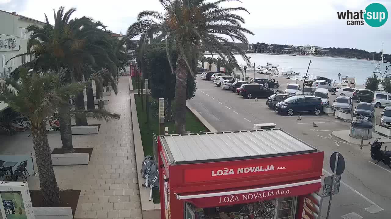 Spletna kamera Novalja – Obala Petra Krešimira IV