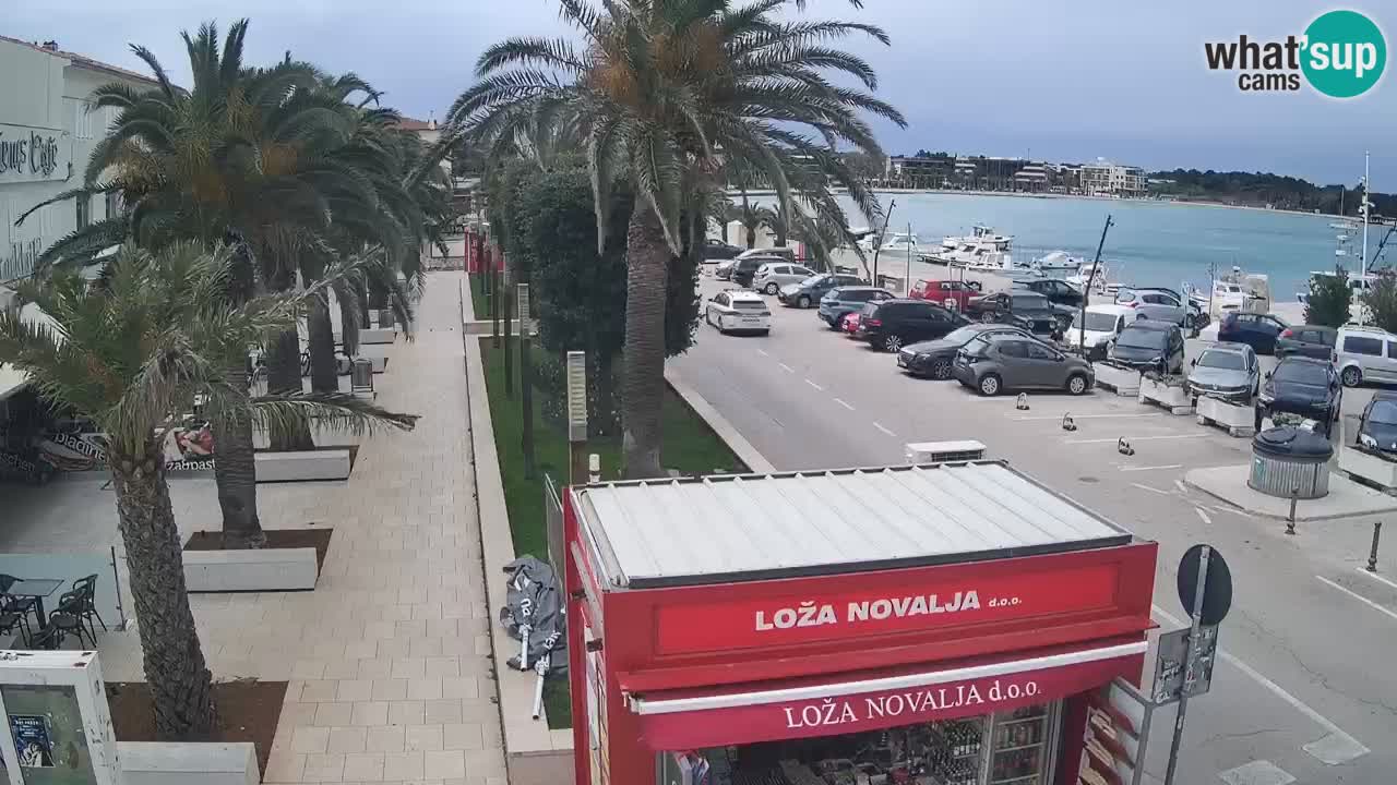 Web kamera Novalja – Obala Petra Krešimira IV