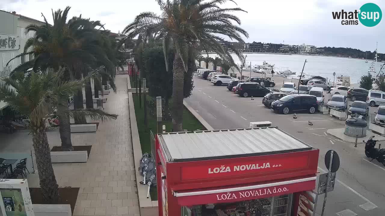 Webcam Novalja – Obala Petra Krešimira IV