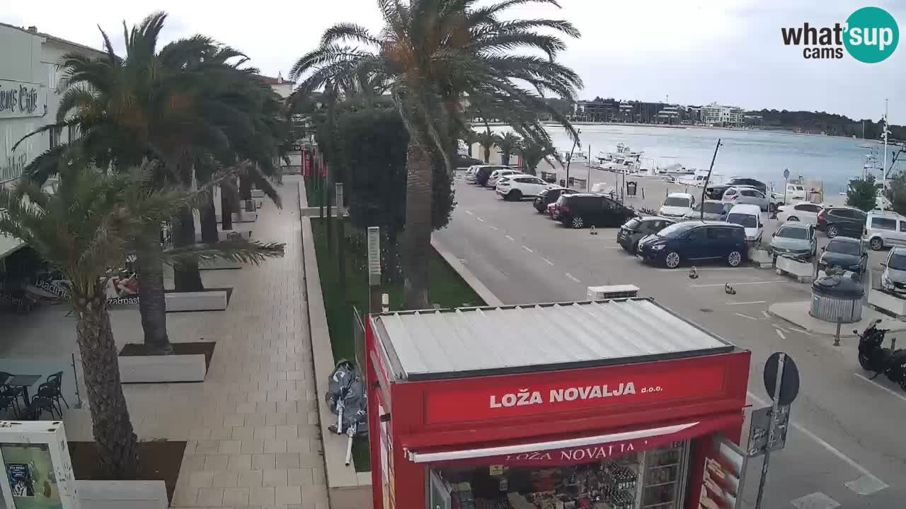 Webcam Novalja – Obala Petra Krešimira IV